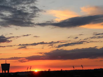 Wild Scenery texture (ID:ffach828704)