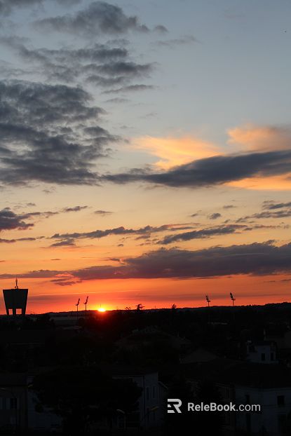 Wild Scenery texture