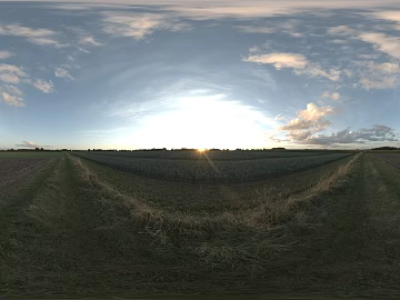 outdoor sky texture (ID:ffach660508)