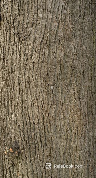 bark texture