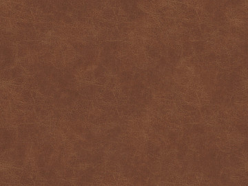 fine grain leather texture (ID:ffacg01099)