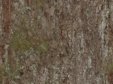 bark texture (ID:ffaag48595)