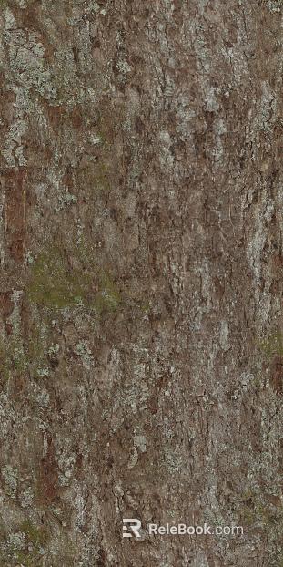 bark texture