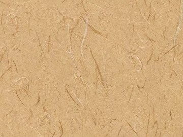 Mud 3d model