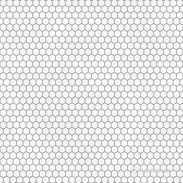 Hexagonal Brick Hexagonal Lattice Black and White texture