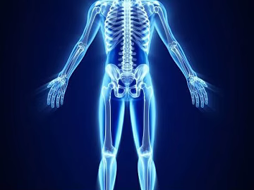 Blue X-ray Human Skeleton texture (ID:ffaeh687289)