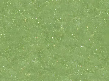 Turf 3d model
