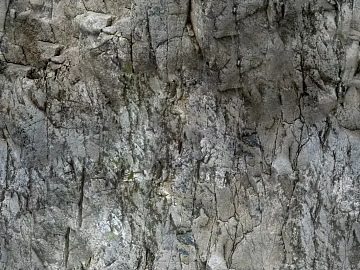 Rock texture (ID:ffach026706)