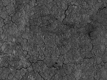 Black and White Bump texture (ID:ffacg27449)