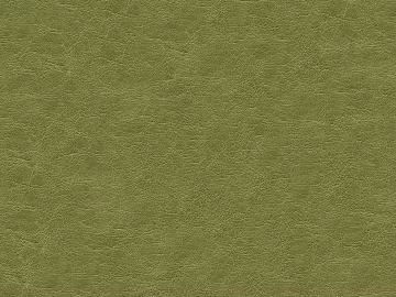 Coarse-grain leather texture (ID:ffacg25077)
