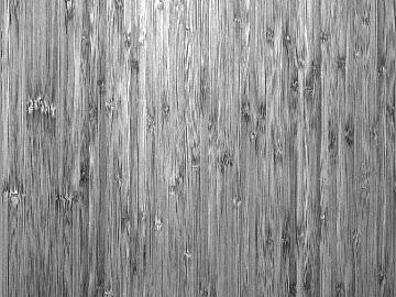 Black and white wood grain texture (ID:ffajg26933)