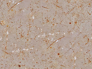 Dressed rusty stainless steel sheet metal texture (ID:ffach536034)