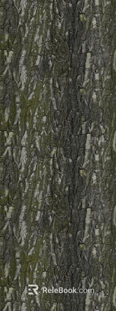 bark texture