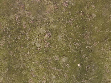 moss texture (ID:ffacg74407)