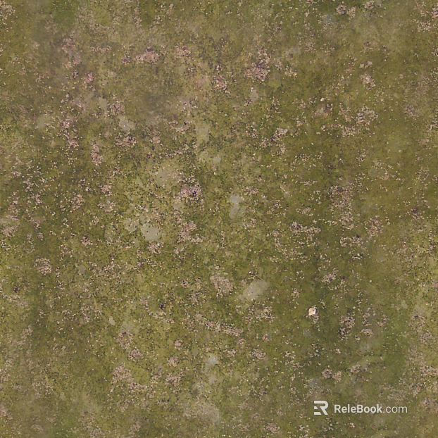 moss texture