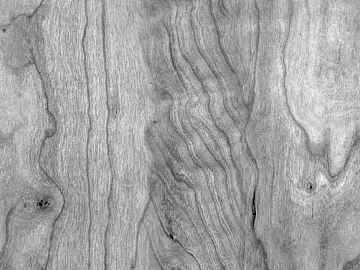 Black and white wood grain texture (ID:ffacg76875)