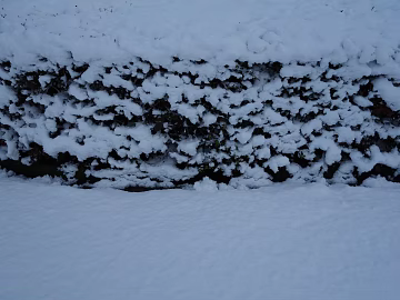 Snow 3d model