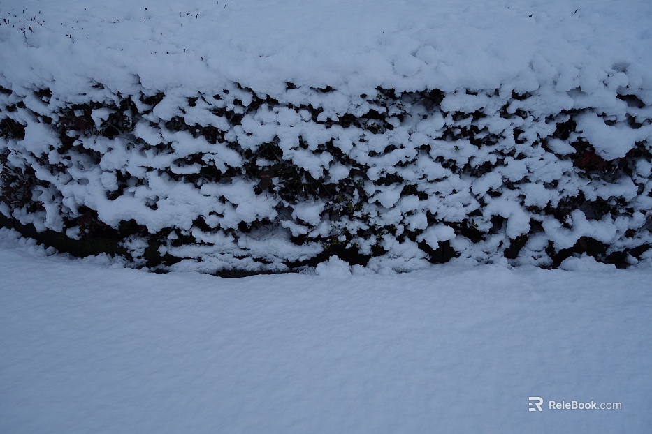 Snow texture