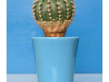 three-dimensional physical painting texture (ID:ffaeg54231)