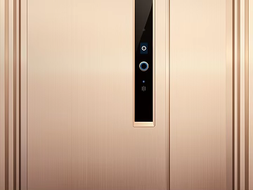 Metal door texture (ID:ffaeg13011)