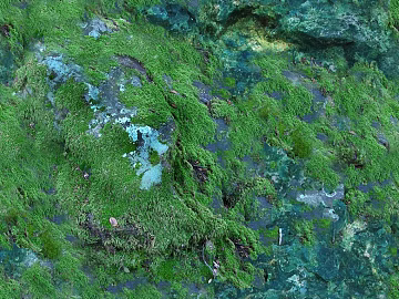 Terrain texture (ID:ffajf3515)