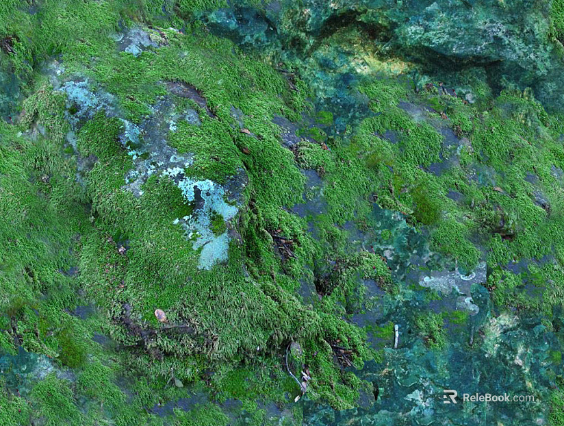 Terrain texture