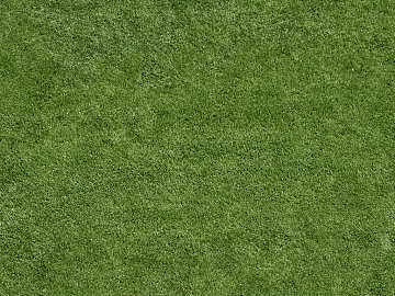 Turf texture (ID:ffaeg09147)