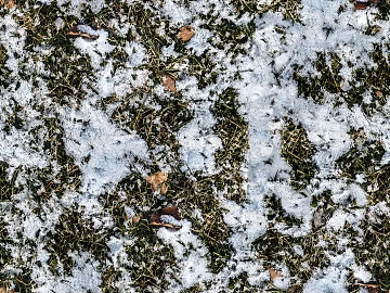 White Ice Ice Block Snow Soil Grass Lawn Grass Ground texture (ID:ffach794704)
