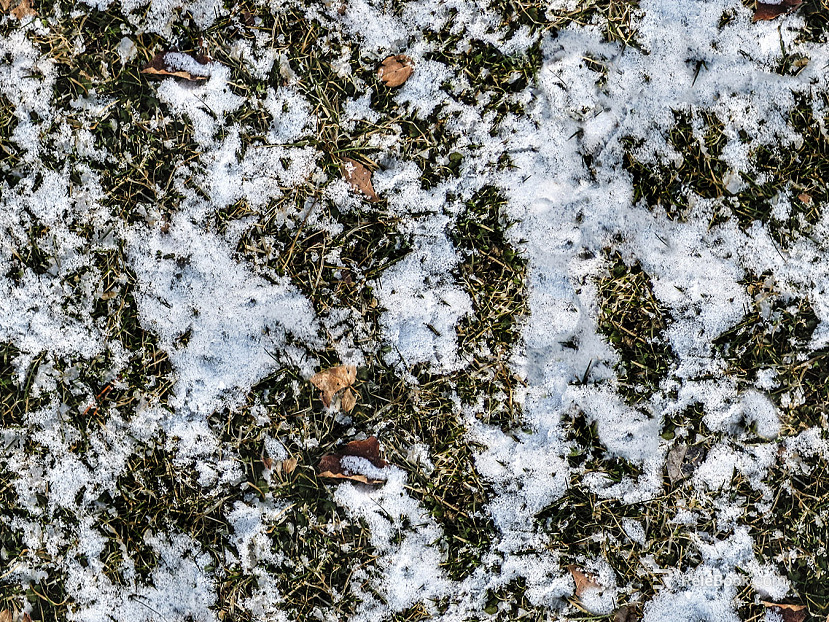 White Ice Ice Block Snow Soil Grass Lawn Grass Ground texture