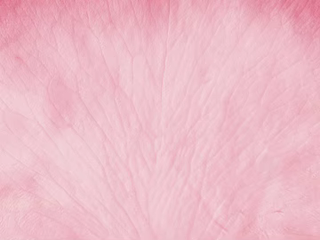 Flowers texture (ID:ffajg61356)