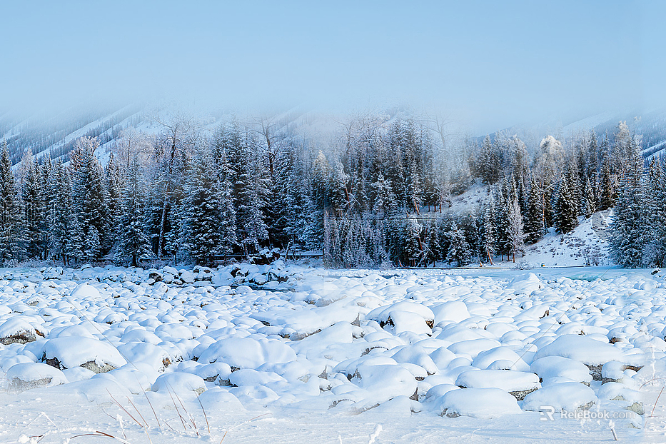Snow texture