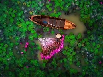 Wild Scenery texture (ID:ffacg84424)