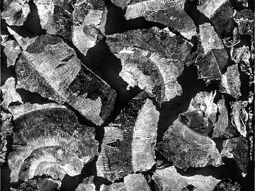 Black and white dilapidated wood chip decorative landscaping texture (ID:ffaeh476534)