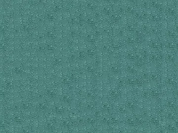 Coarse-grain leather 3d model