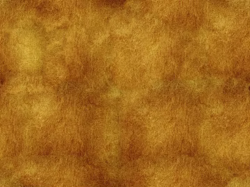 Mud texture (ID:ffagg20025)