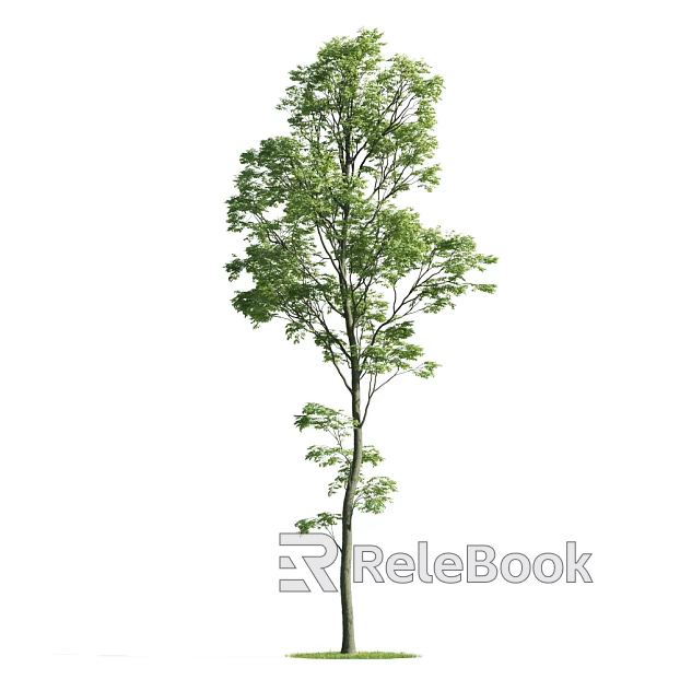 Tree texture