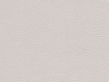 fine grain leather texture (ID:ffajg31630)