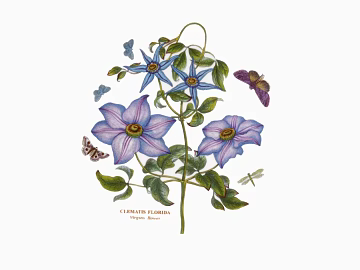 Plant painting texture (ID:ffaag57544)