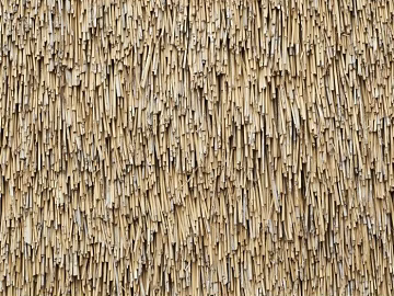 Thatch texture (ID:ffajg44040)