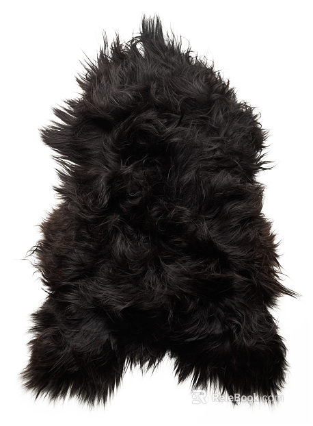 Animal Blanket texture