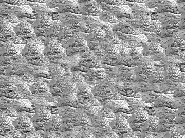 Black and White Bump texture (ID:ffacg27304)