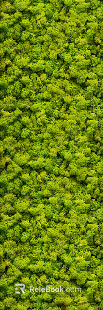 moss texture