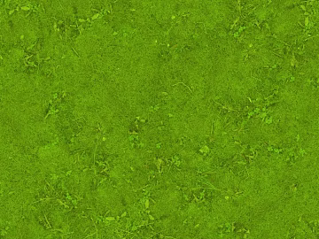 moss texture (ID:ffaeg16824)