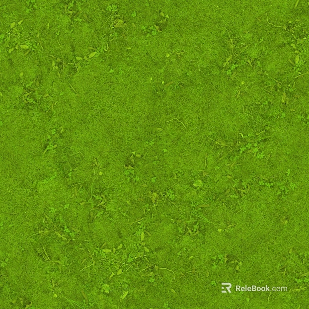 moss texture