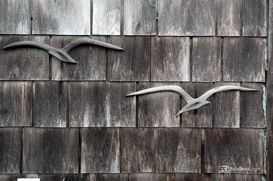 Roof texture