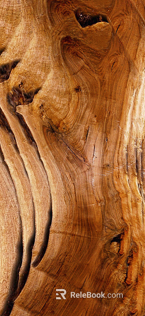 Wood grain texture