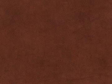 fine grain leather texture (ID:ffacg41835)