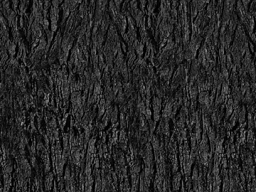 bark texture (ID:ffajg76705)