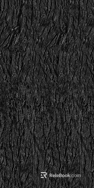 bark texture