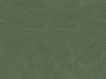 fine grain leather texture (ID:ffaag01802)